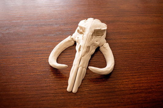 Mythosaur Skull