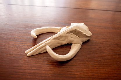Mythosaur Skull
